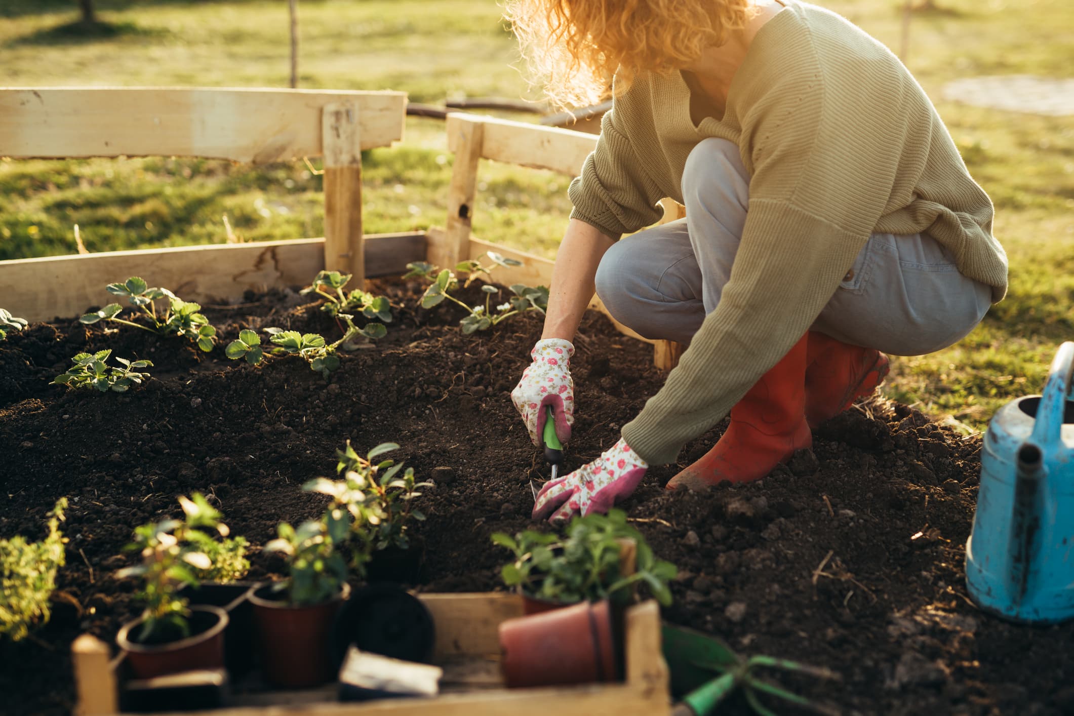 Home Gardening Basics for Seniors